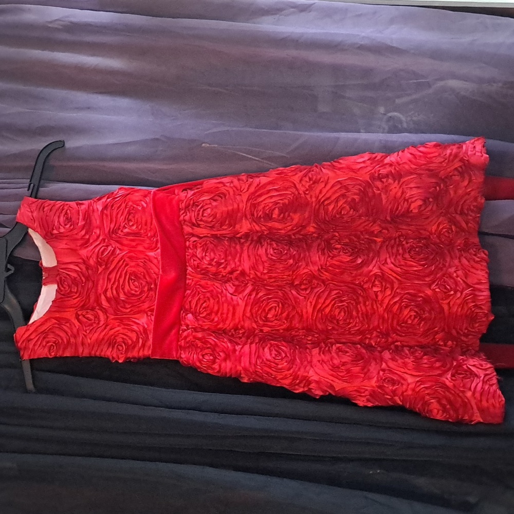 Gorgeous rose dress